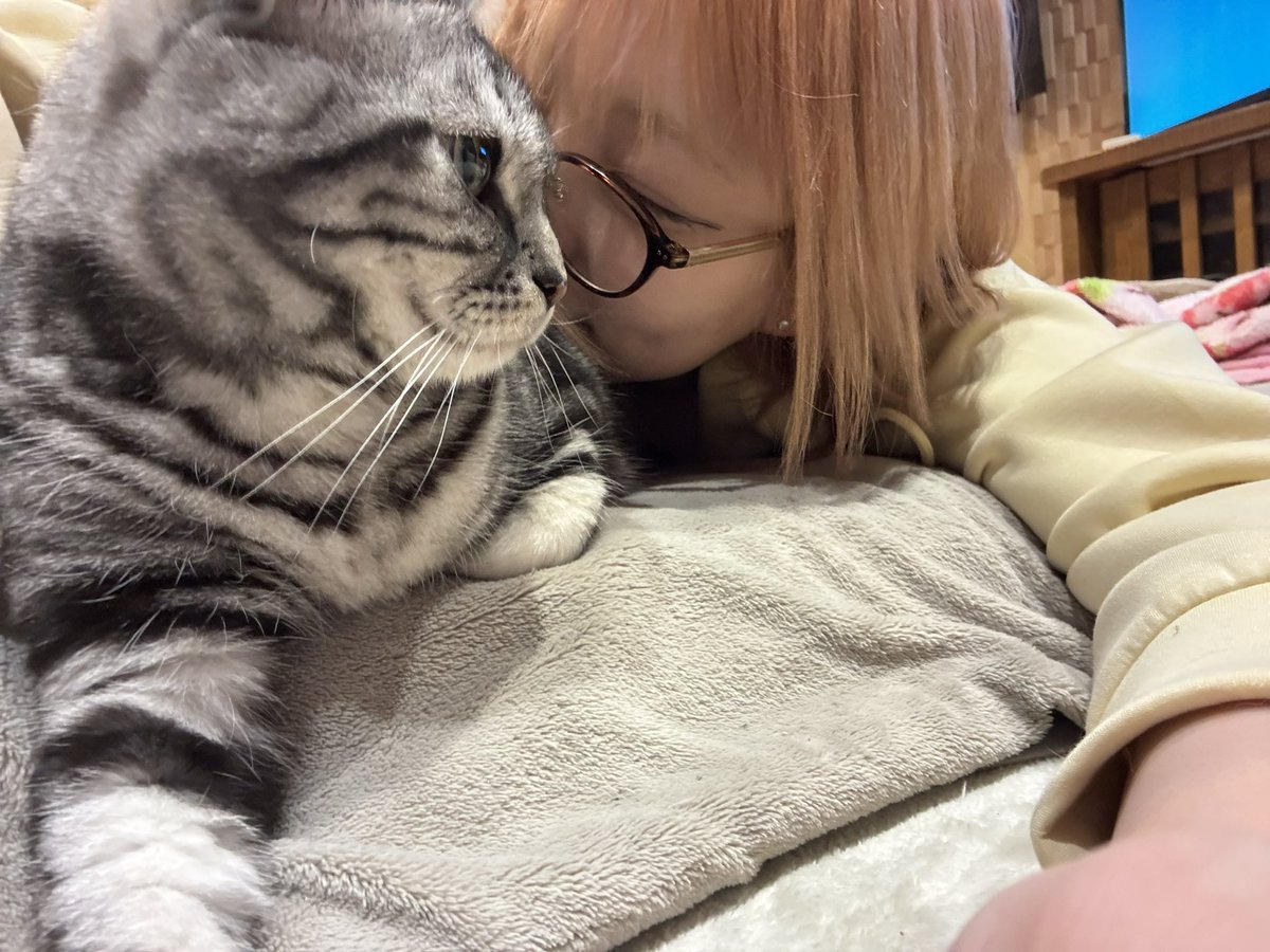 🌸さくちん🌸 (@nana03157777) / Posts / X