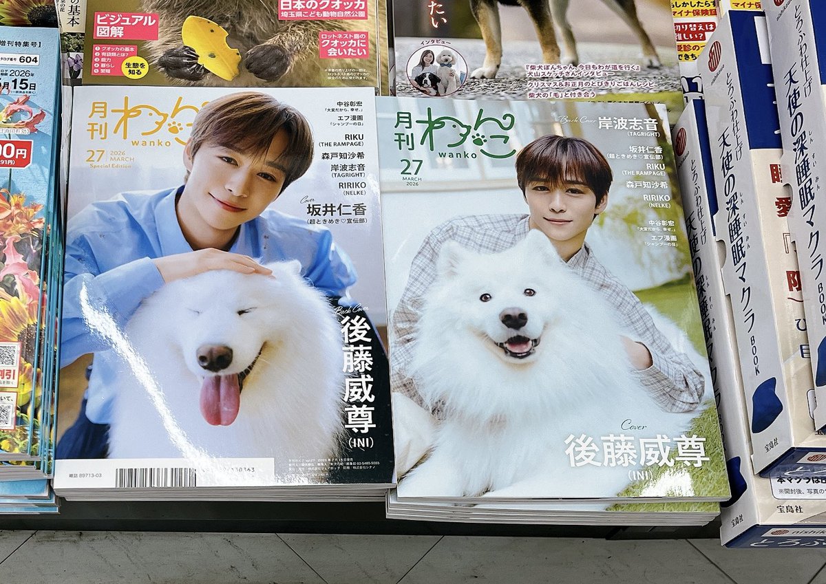 月刊わんこ編集部 (@gekkan_wanko) / Posts / X