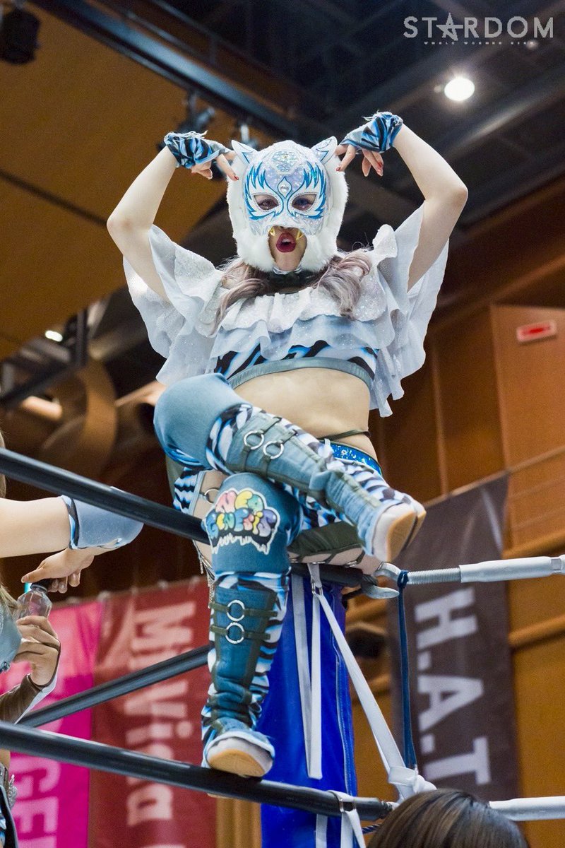 スターダム💙スターライト・キッド🐯🤍 (@StarLight_Kid11
