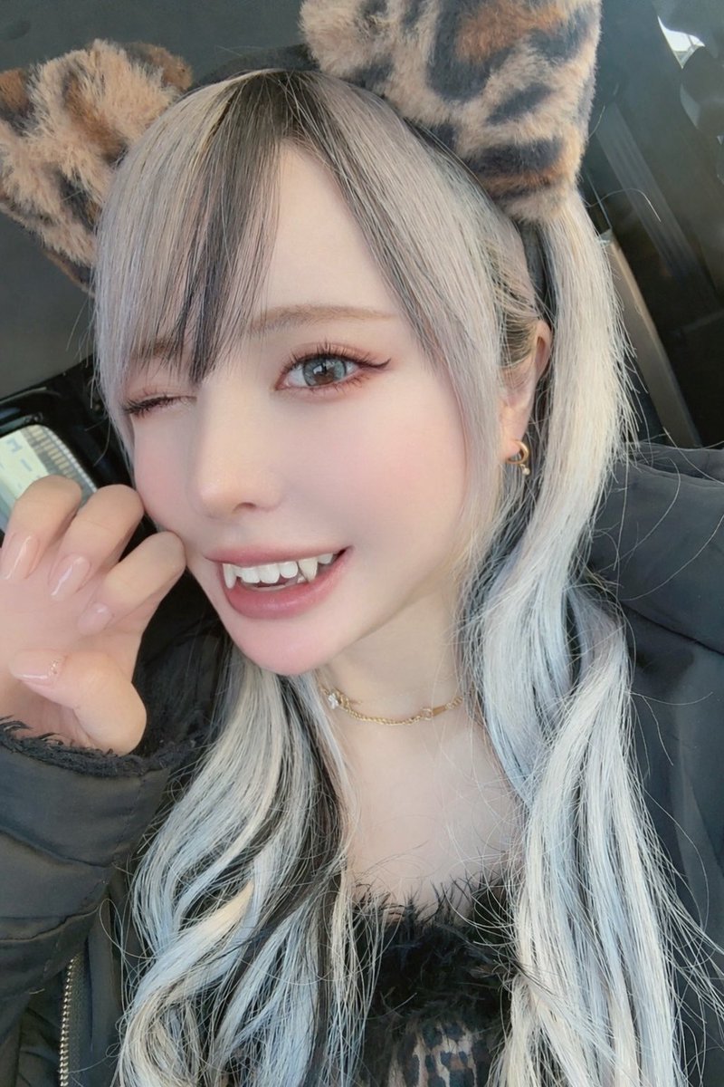 にゃん🐯 猫の日だよお