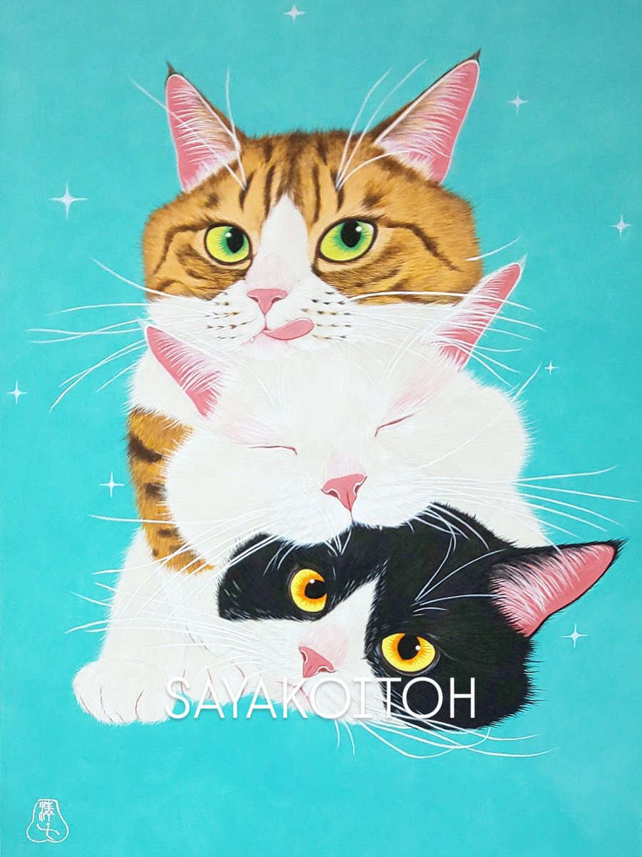 伊藤清子🌟 Sayako Itoh (@sayako1111) / Posts / X