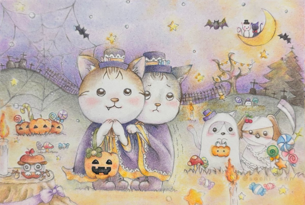 2月22日 にゃんにゃんにゃんの日 我が家の4にゃんたち🐾🐾🐾🐾 と