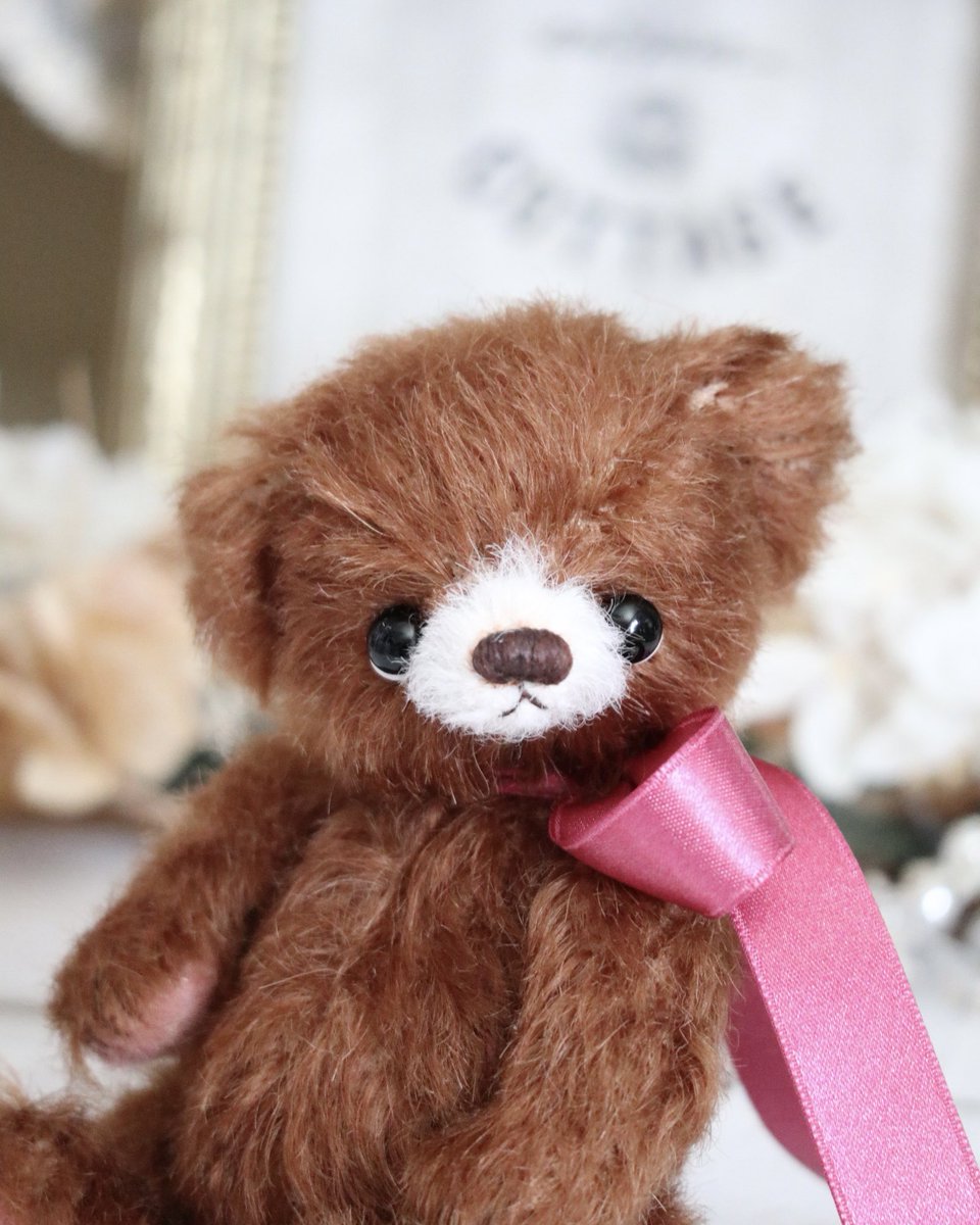 正統派ラブリーなYoshimiさんのベアちゃん、お家探してるようです✨