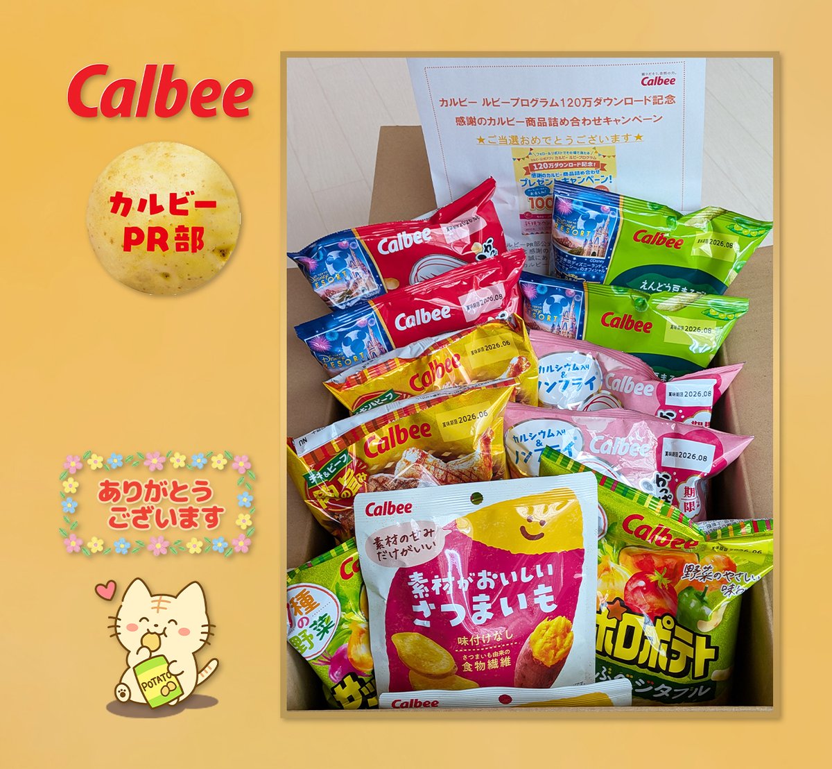 びー🐬࿐⋆* (@StayWeek) / Posts / X