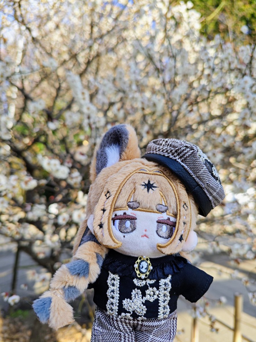 momo【2/23CC福岡A館B23】 (@momonui_momo) / Posts / X