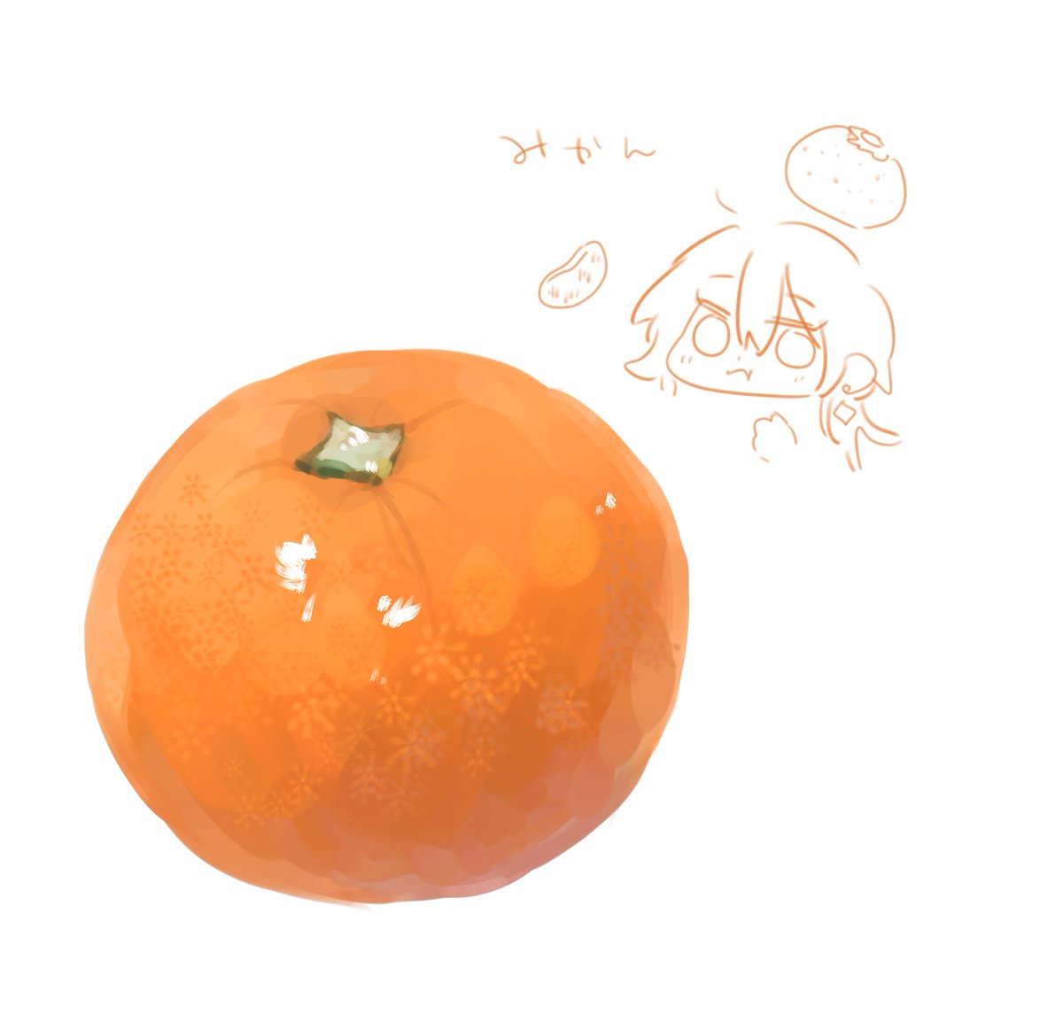 Post by 蒼村 on X: みかん🍊