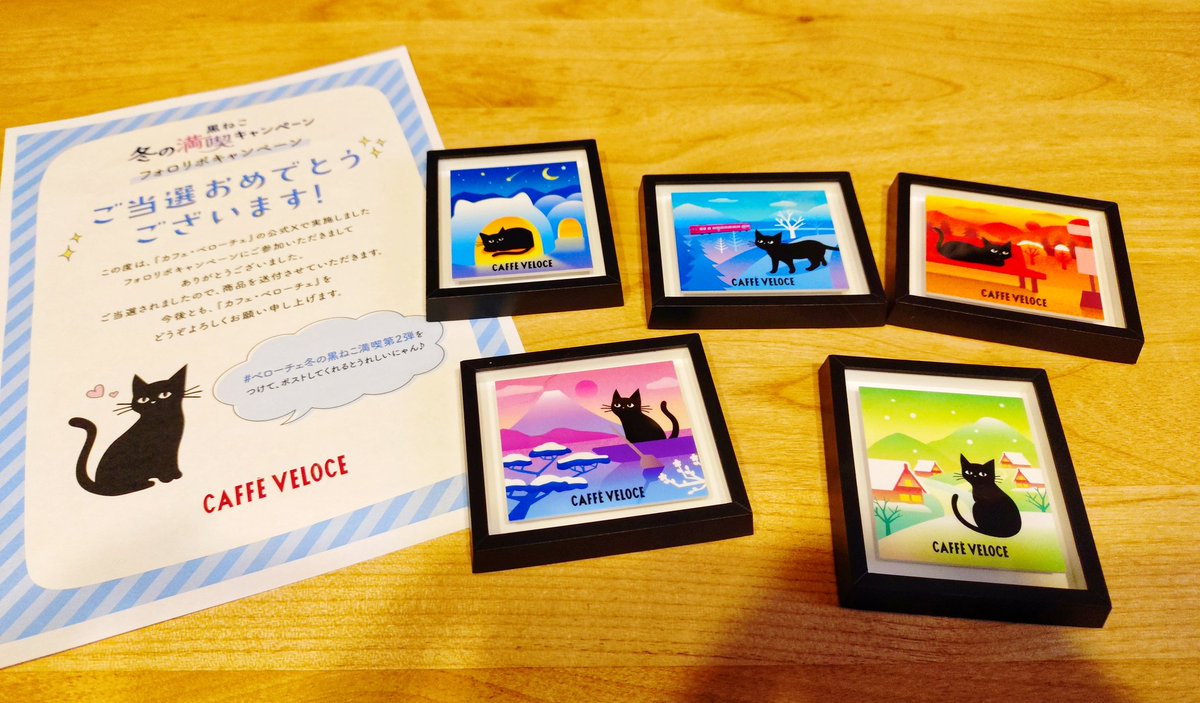 フ”チコ🐺 (@buchi_cco) / Posts / X