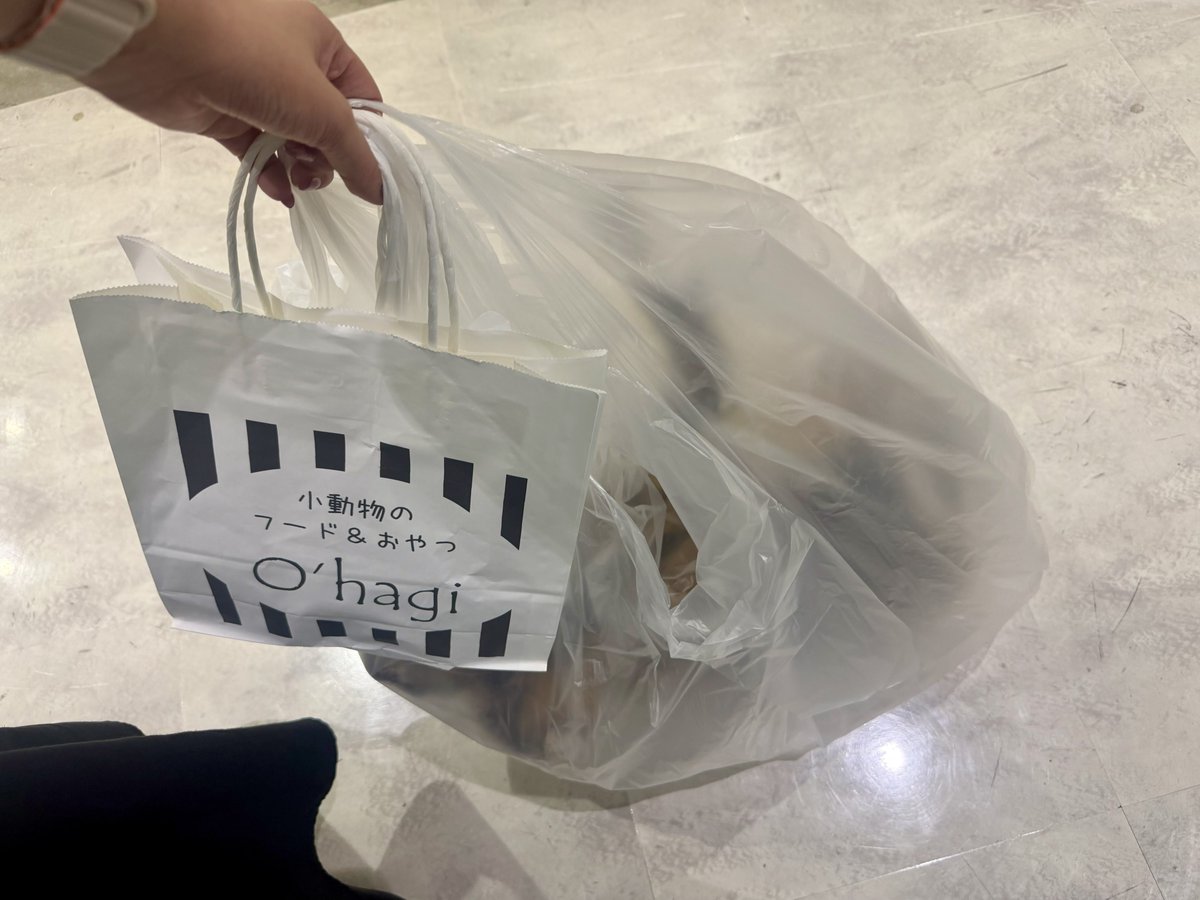 離脱👻🫧 特大流木2つも買ったら重すぎて駐車場まで運ぶの大変だった