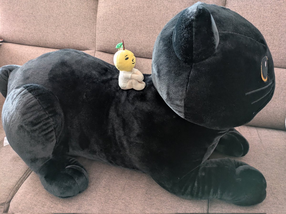 ヤマト運輸さまのキャンペーンで当選したでっかい！ねこぬいぐるみ