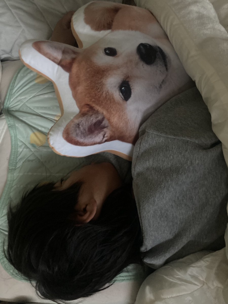 龍ちゃんズとよっちゃんみっちゃん (@ryuchan123bro) / Posts / X