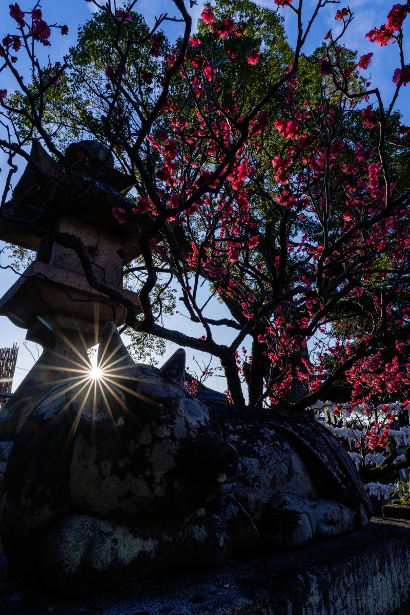 山田 太郎 (@nek54321) / Posts / X