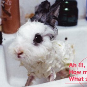 トキメキ帝国の桃色ガブリエルTokimeki Gabriel (@tokimekigabriel