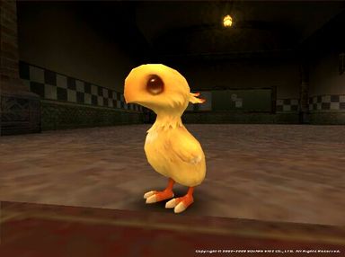 ヒナチョコボとお散歩 : ソラナカひみつにっき