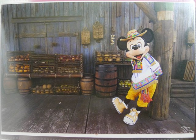 篠山紀信♥サルードスミッキー : Disney Postcard Collection