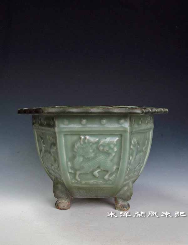 東洋蘭鉢「三田青磁鉢」 No.464 : 風来記 東洋蘭風来記 春蘭 中国春蘭