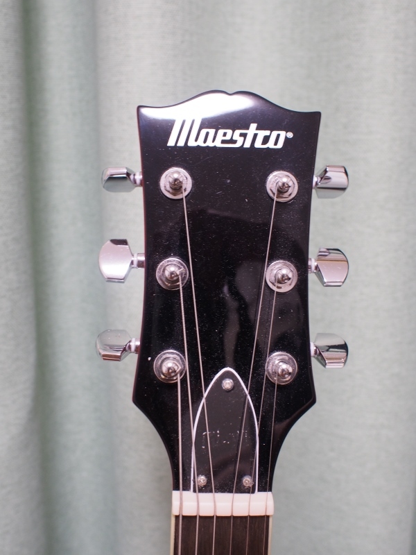 Maestro by Gibson Les Paul Standard : Reflections of Reality