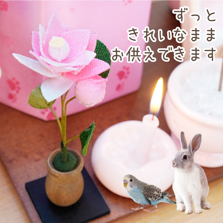 ペット用 ちりめん 蓮の花 お飾り オブジェ 置物 ミニ 小さい 国産