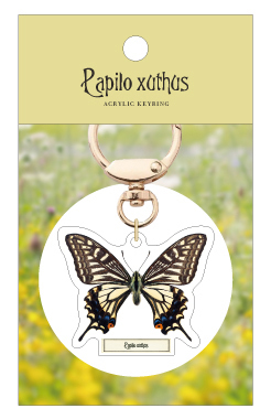 蝶のアクリルキーホルダー アゲハ蝶ゴールド | PG STATION ONLINE SHOP