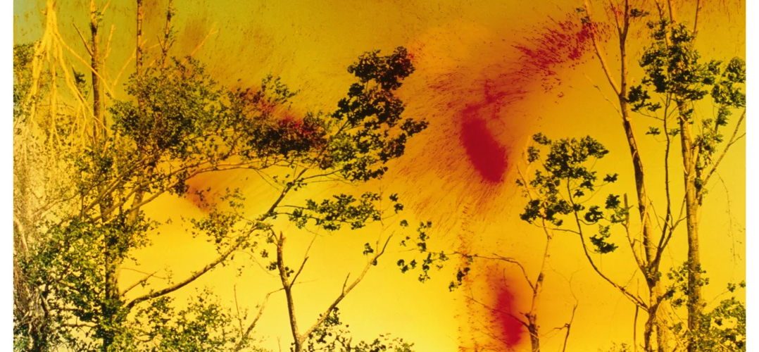 Wolfgang Tillmans | Plakaten - Aarhus