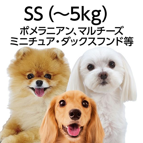 犬用首輪 EthicalDoor エシカルドア 迷彩カラー SS ブラック