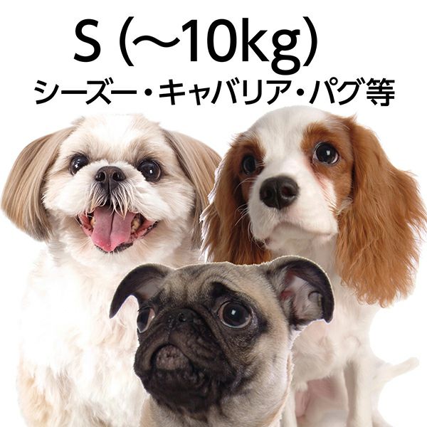 犬用首輪 フラッシュソフトカラー S ブラック | ペティオ オンライン