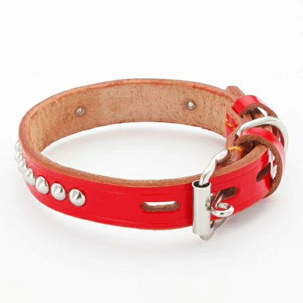 手縫平首輪中一 21mm ブルー | ペティオ オンライン ショップ本店