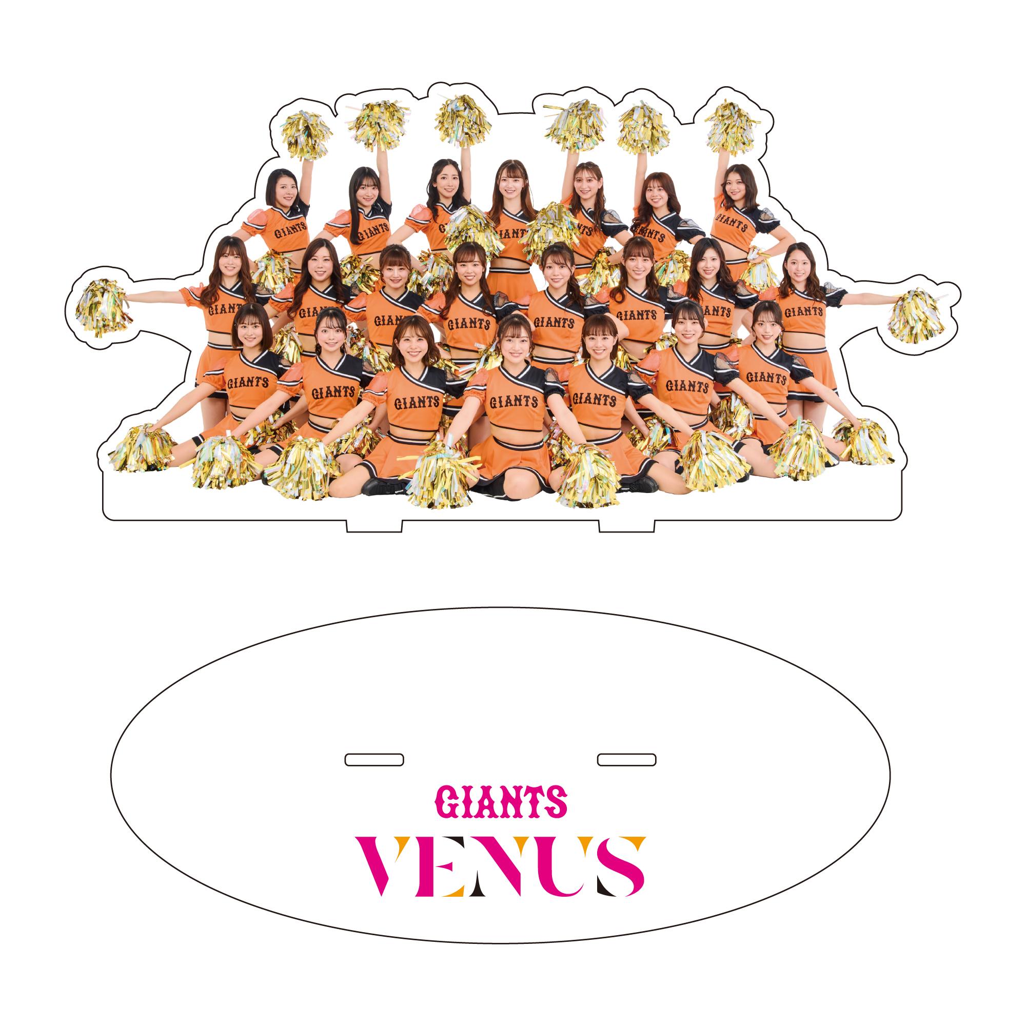 VENUSコラボグッズの第3弾を発売 | 読売ジャイアンツ（巨人軍）公式サイト