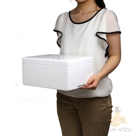 宅配80サイズ】発泡スチロール箱 ※平日9?17時受取限定(日時指定