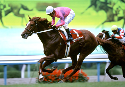 未来に語り継ぎたい名馬 JRAレーシングビュアー