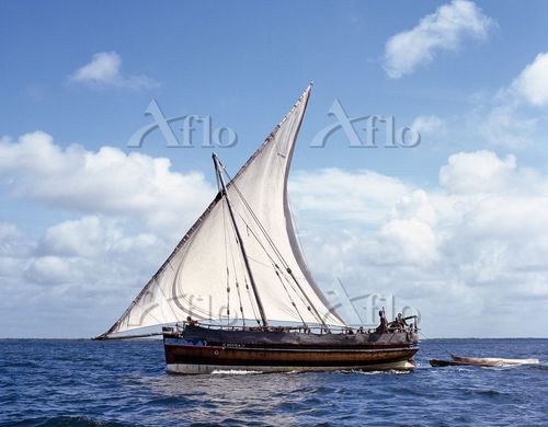 航海をするダウ船 [5332885]の写真素材 - アフロ