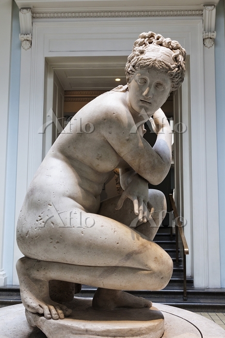 イギリス 大英博物館 「ヴィーナス像」 [20260375]のアート作品 - アフロ