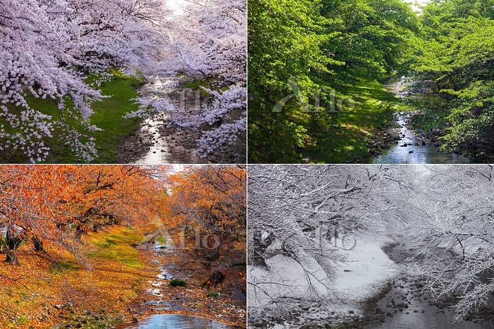 定点写真 春夏秋冬 [24481065]の写真素材 - アフロ