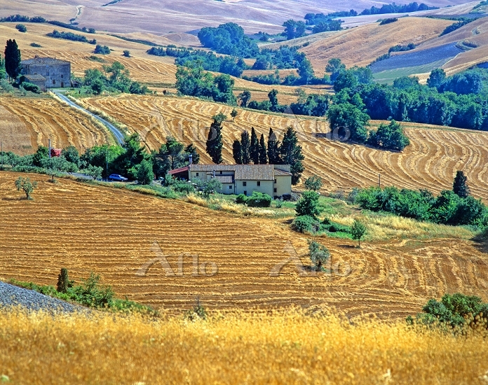 イタリア トスカーナ州 田園風景 [34109827]の写真素材 - アフロ