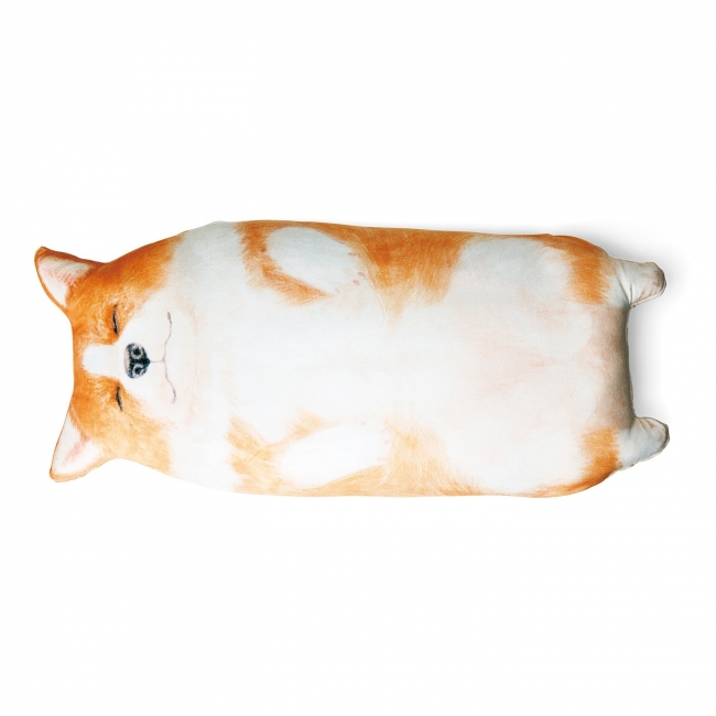 コーギーのおなかで眠る？ おしりで眠る？「コーギーのおなかぽよぽよ