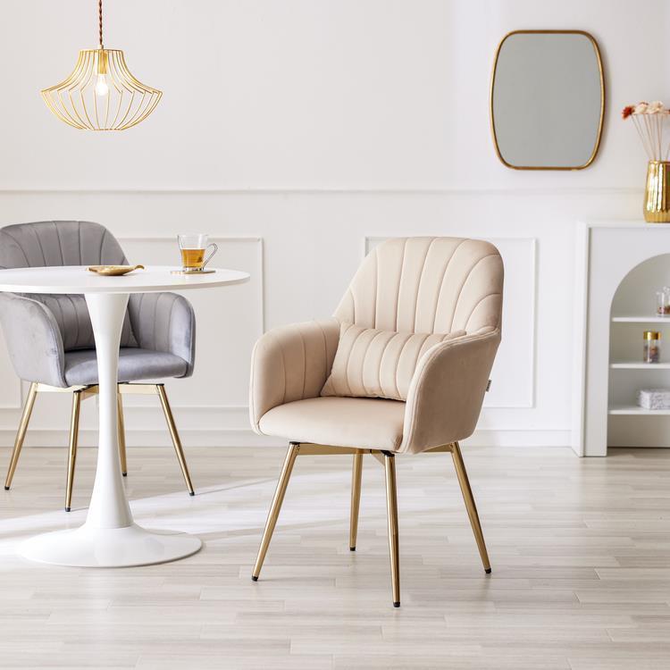 WEB限定】 ASHEL jelis ダイニングチェア 金脚 ラテベージュ(ラテ