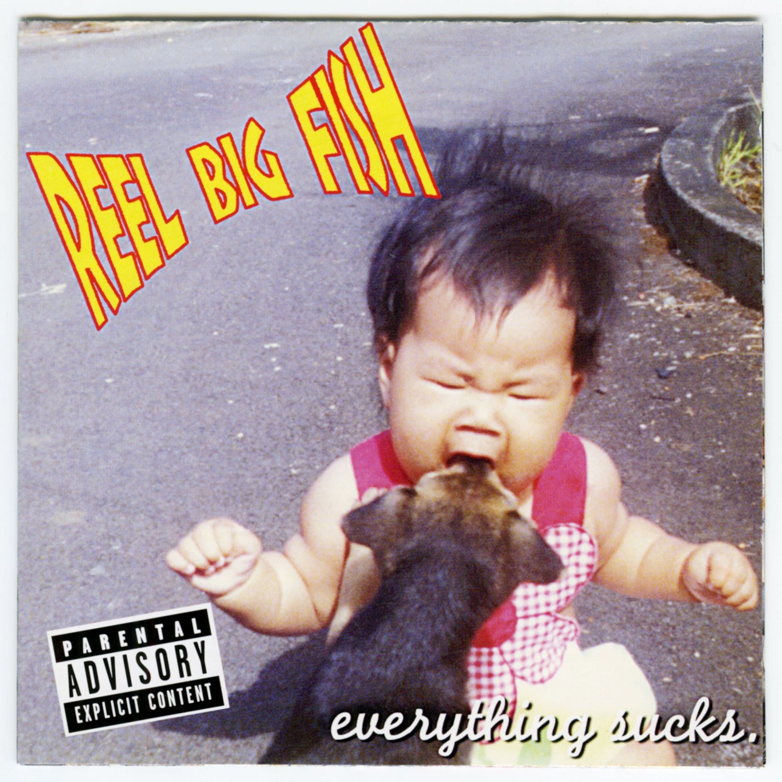 日本盤】Reel Big Fish / Everything Sucks [JPN Orig.LP | Enhanced