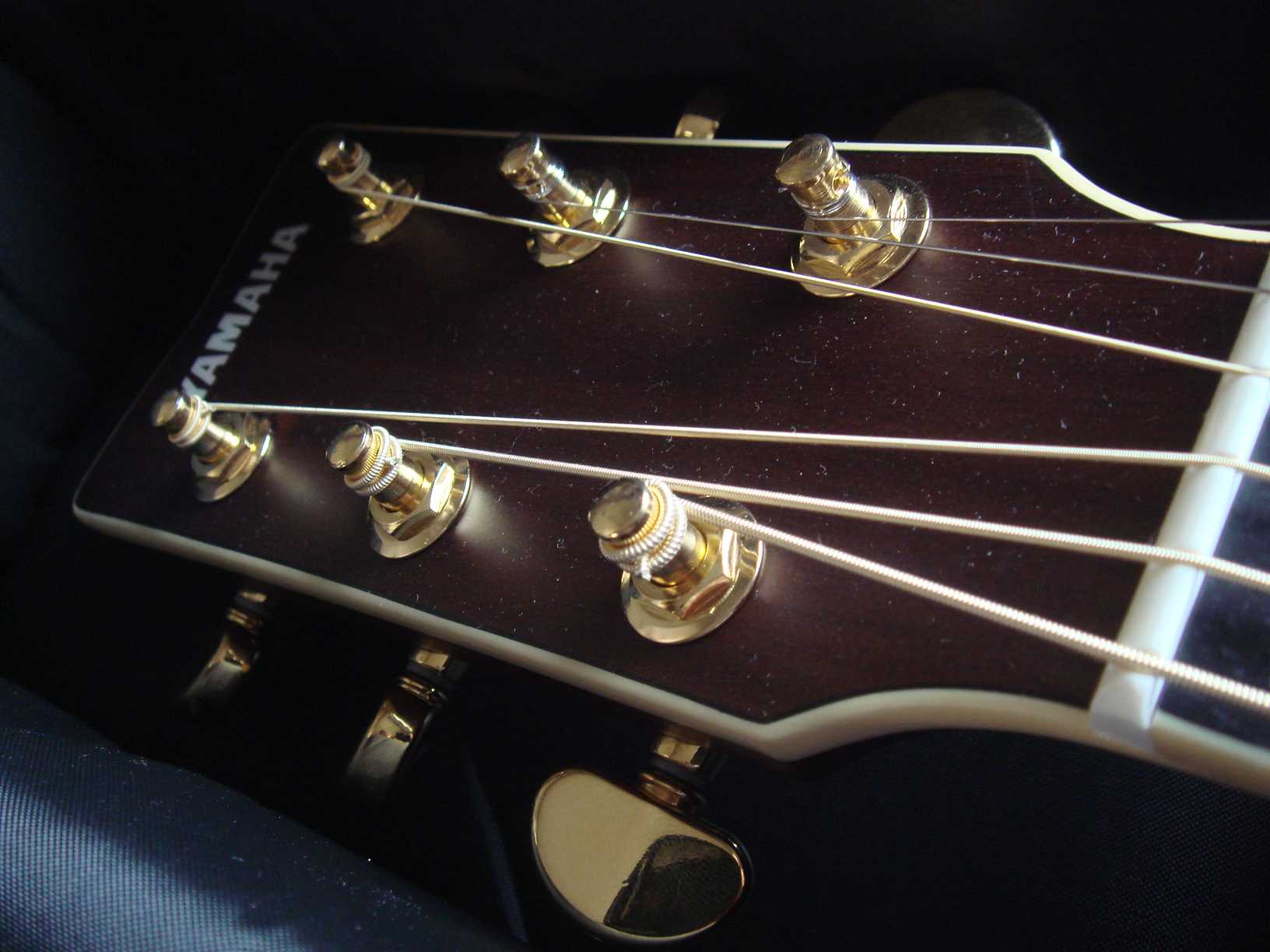 ギター弾きの断捨離 - テレキャス＆ストラトの部屋Ⅱ