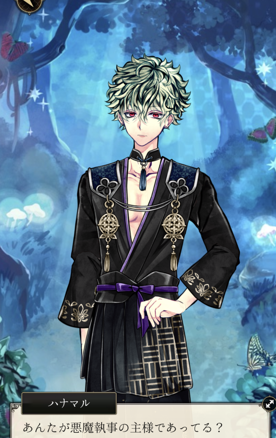 4月24日はハナマルの誕生日です！ - あくねこにハマった駆け出しシニア