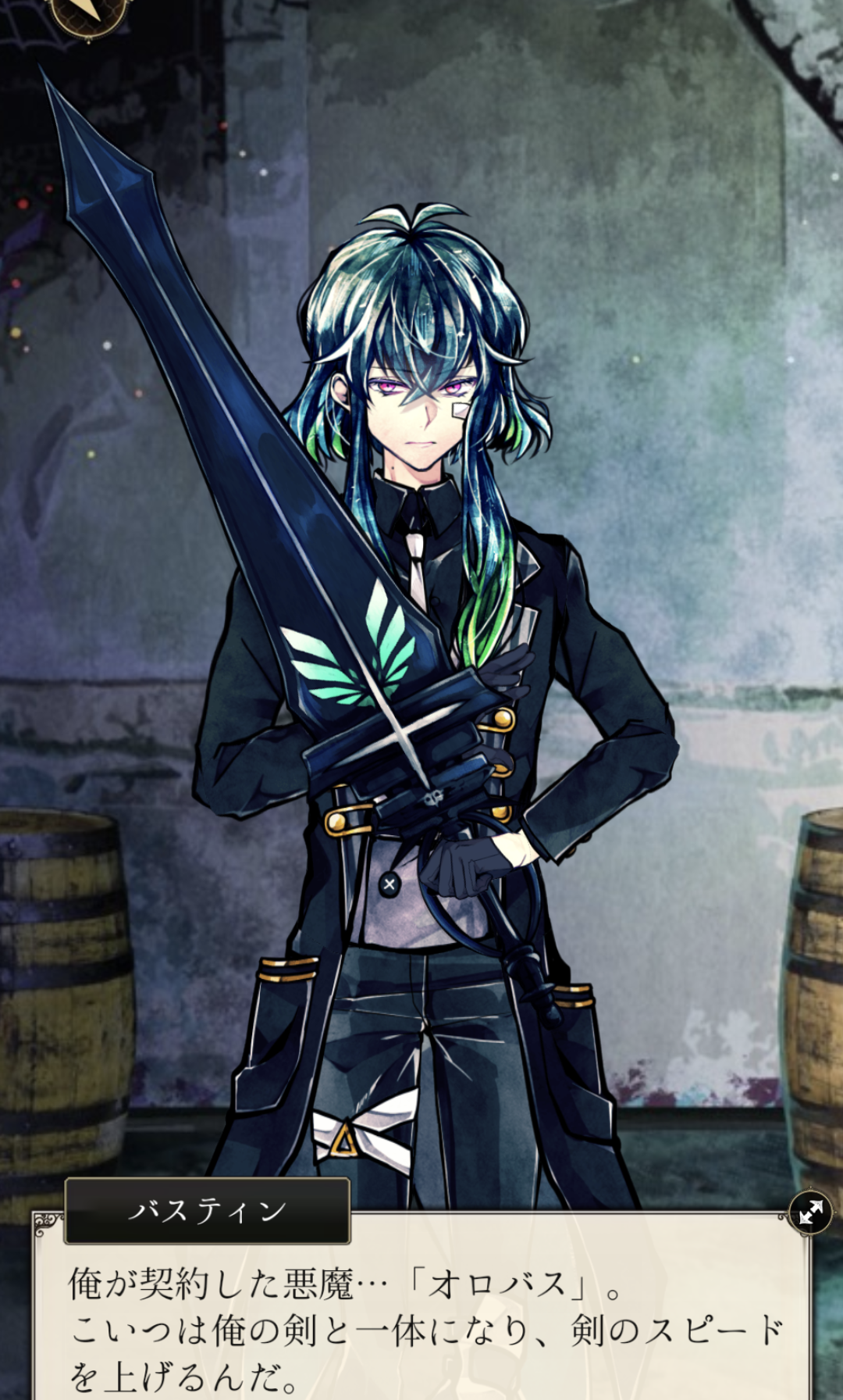 2月19日はバスティン・ケリーの誕生日です 2023~2025 - あくねこに