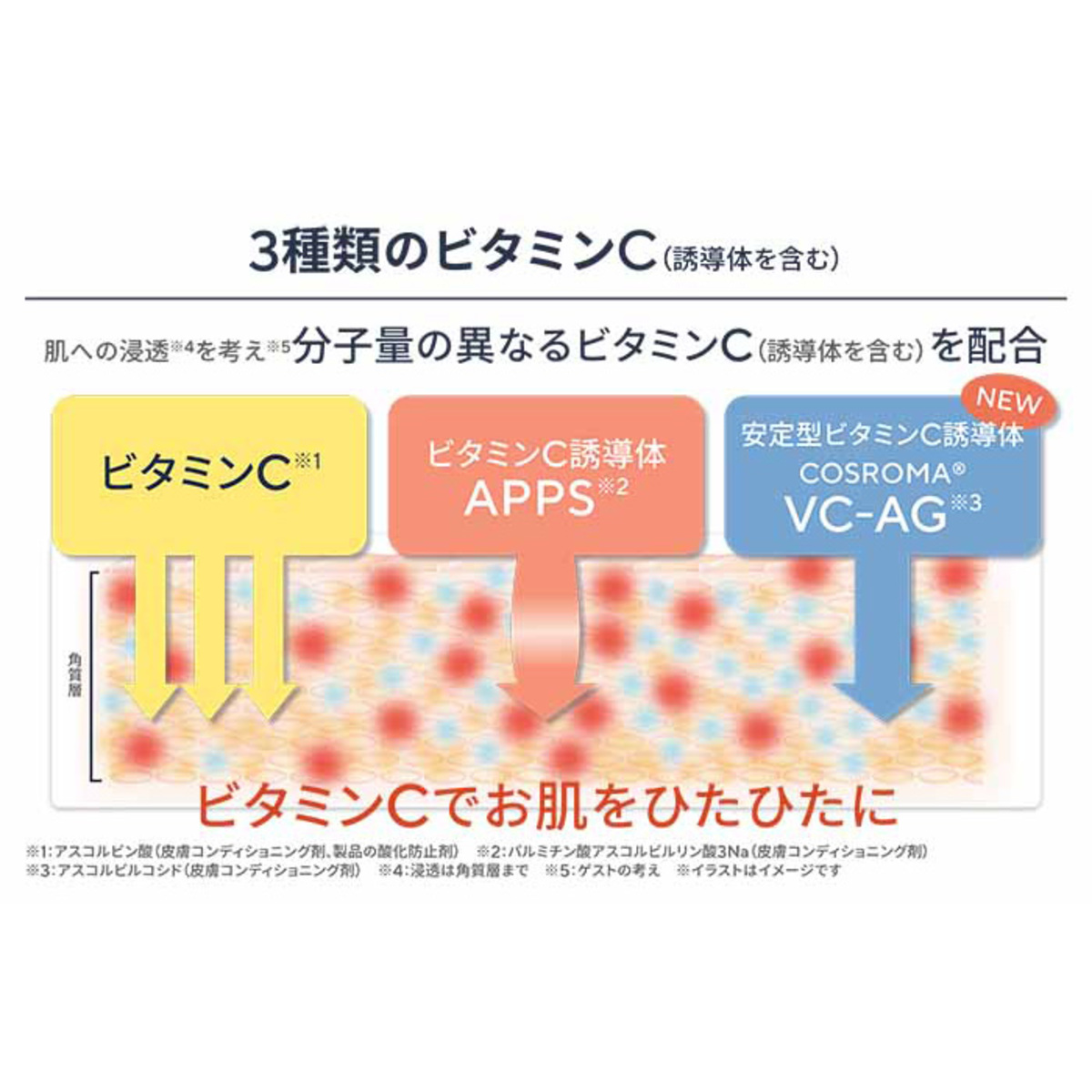 J.AVEC TOIパベルIV2本＆No.88C2本特別セット ジェイアベックトワ（J