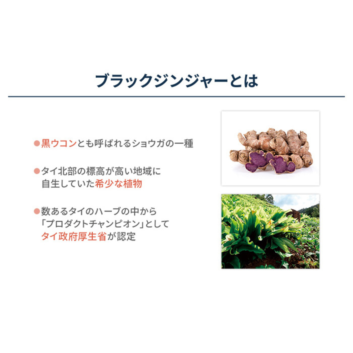 保阪流極すらり生活3個セット[135日分] 保阪流極 - QVC.jp