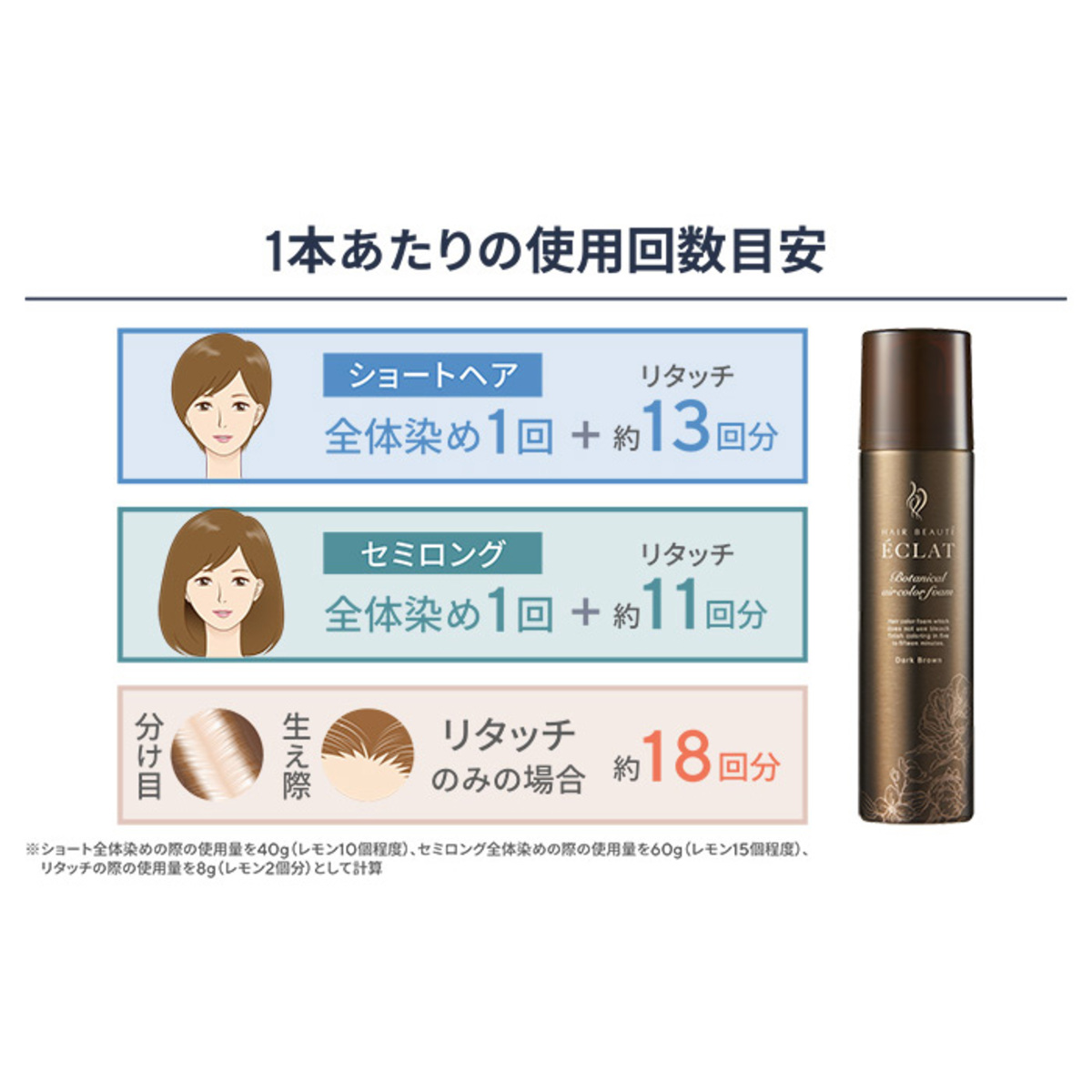 ヘアボーテエクラボタニカルエアカラーフォームup3本P付特別セット