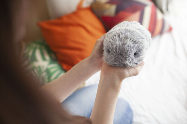 もふもふした愛らしさを持つAIペット型ロボット「もふりん」 日本発で