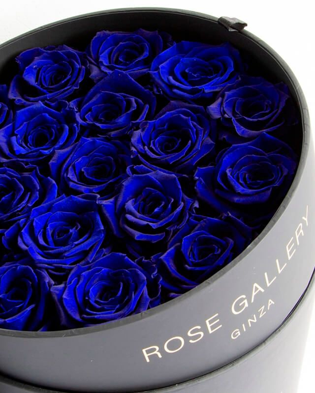 アンダーザローズ(L-L18) | ローズギャラリー銀座 オンラインショップ