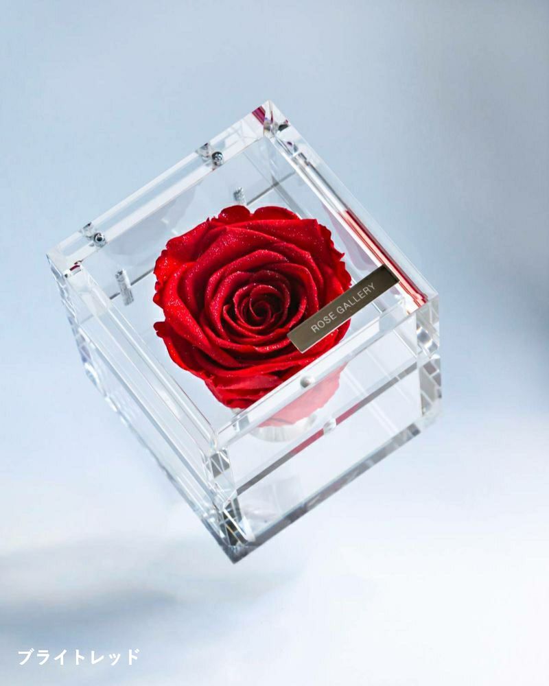 ミュゼ ダイヤモンドローズボックス(M) | ローズギャラリー銀座