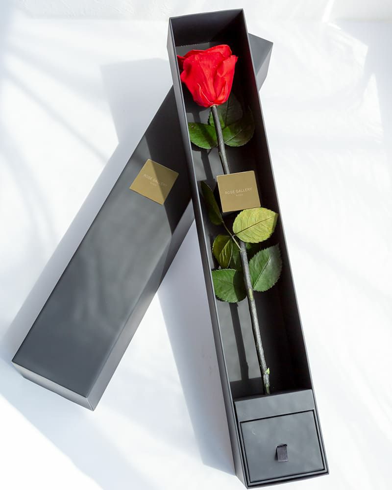 ザ・ワンスペシャルエディション | ローズギャラリー銀座 オンライン