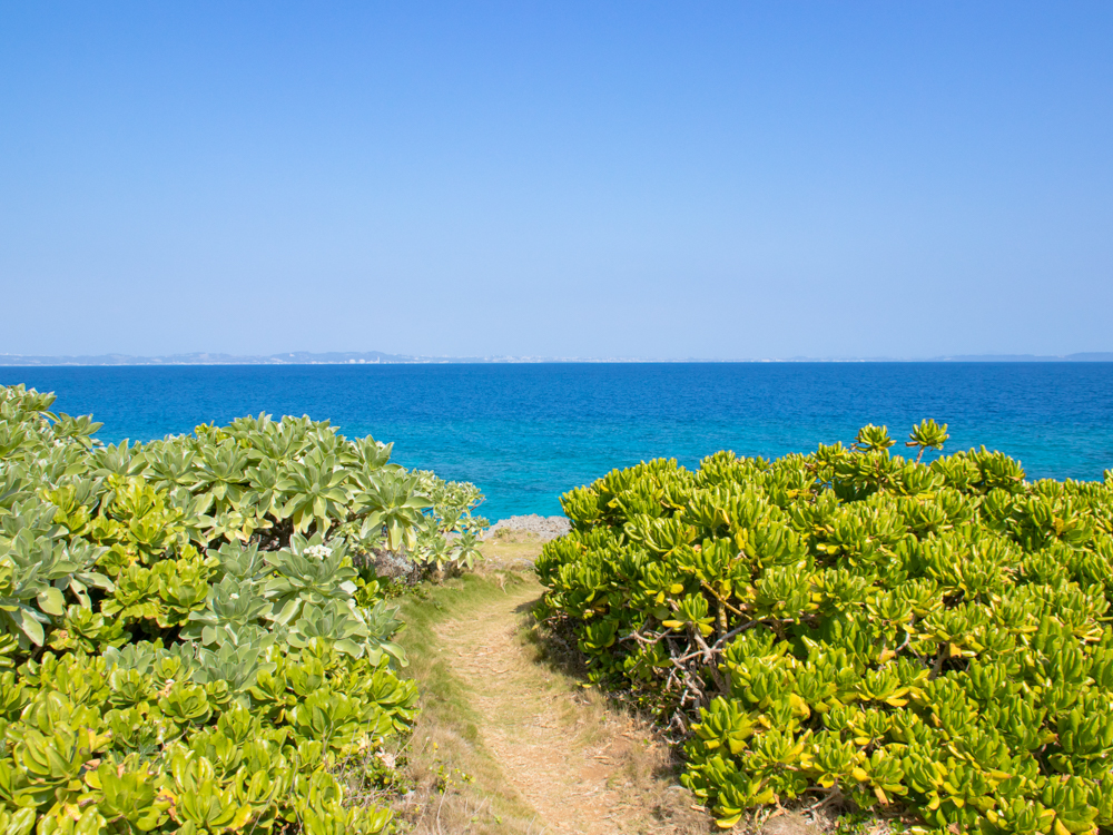 神ノ島「久高島」へと行ってみた。 - Ryukyu Wedding | 琉球