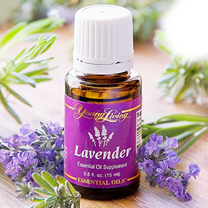 ヤング・リヴィング アロマ体験会 ～香りのある生活～ – 三条