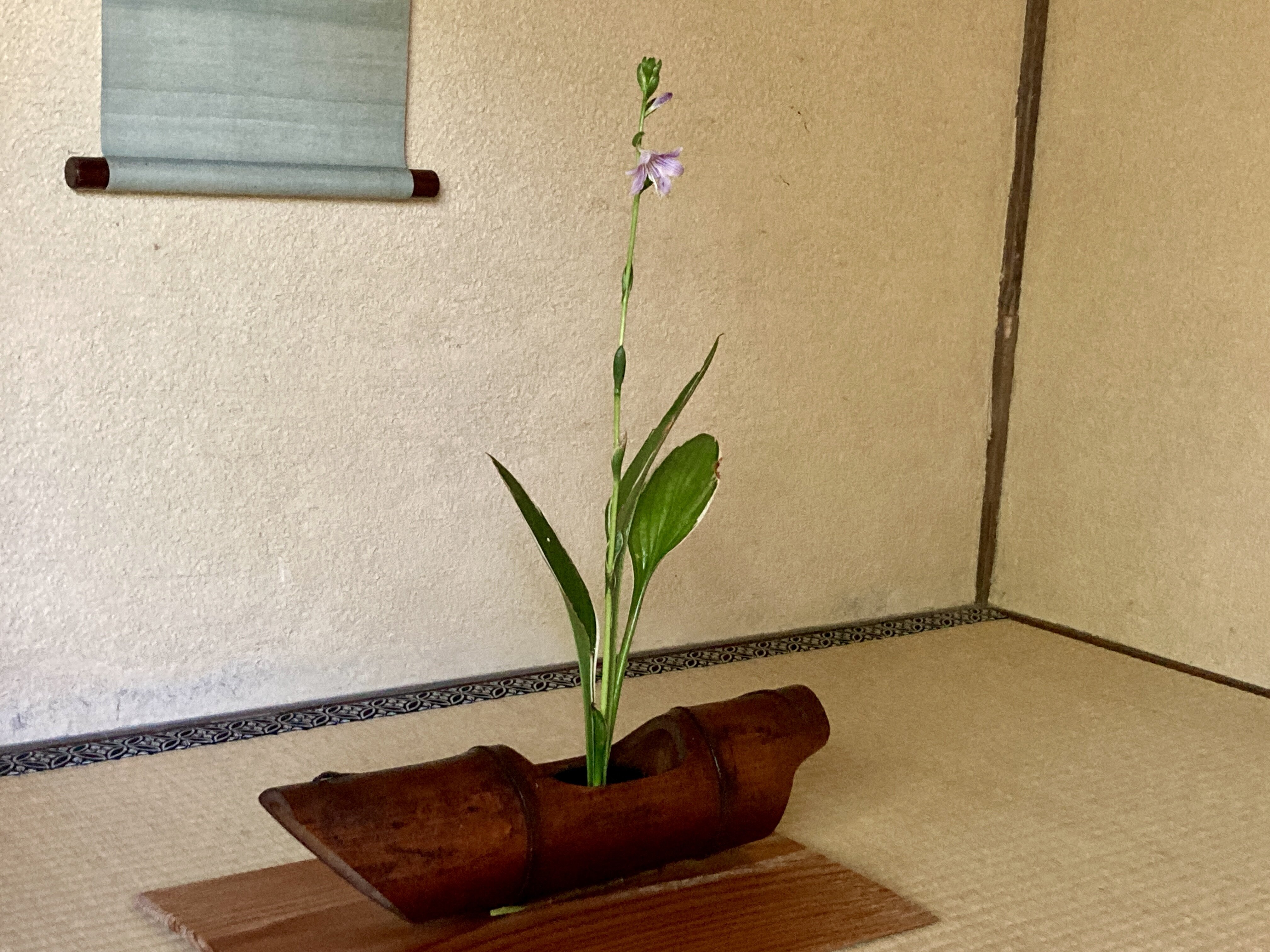 一器・一花・一菓 「泊舟」2バージョン 停泊の静けさと、出港の気配と