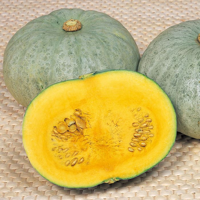 カボチャ 雪化粧200｜種（タネ）,球根,苗,資材,ガーデニンググッズの